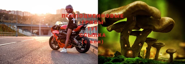 дмт Абаза
