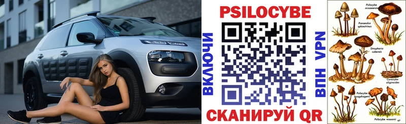 купить   Отрадный  Галлюциногенные грибы прущие грибы 